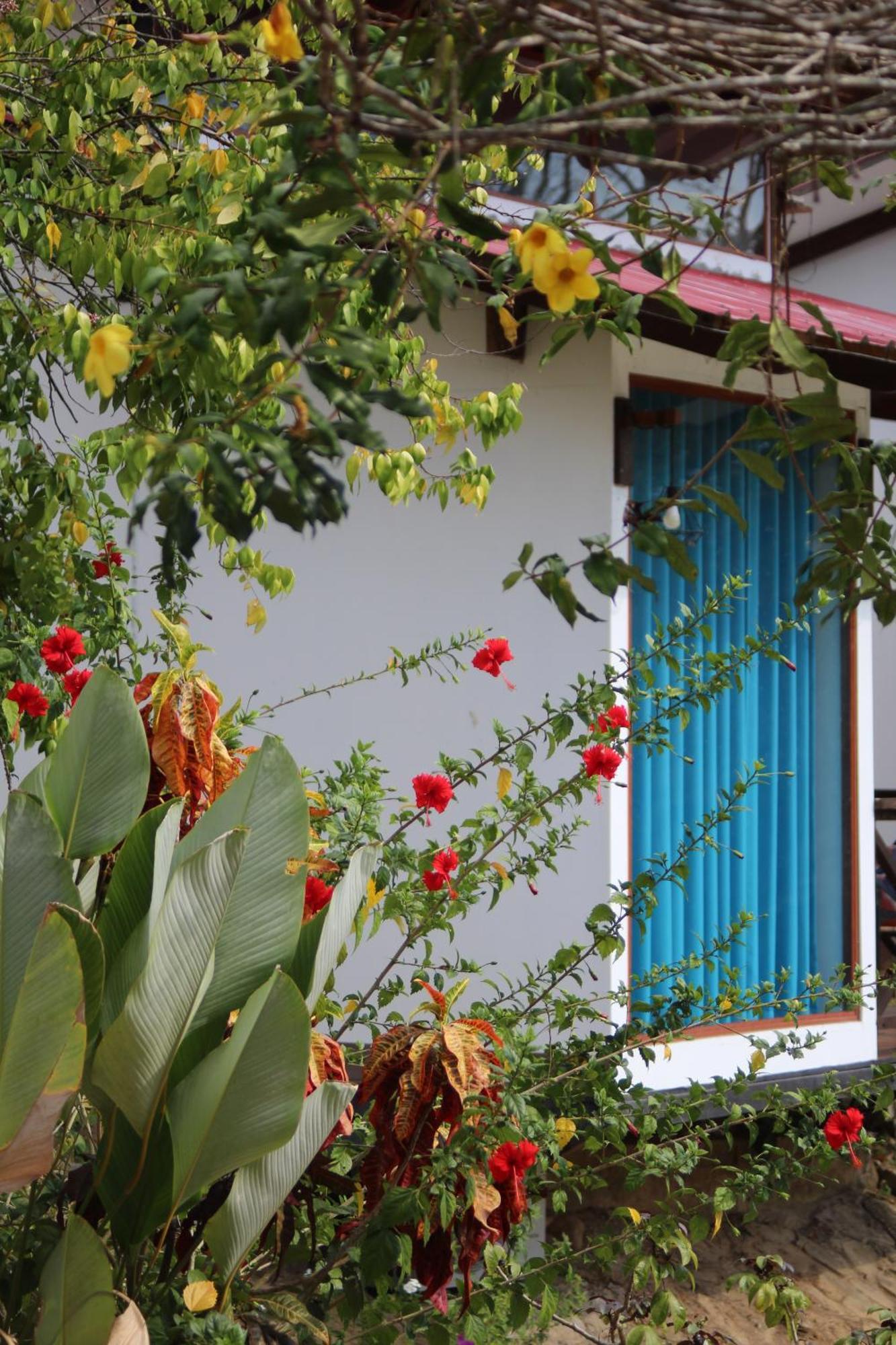 Hacienda Don Vicente Bungalows Tarapoto Exterior foto
